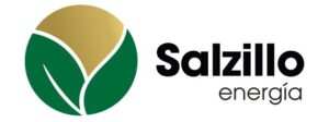cropped-LOGO-VECTOR-SALZILLO-ENERGIA